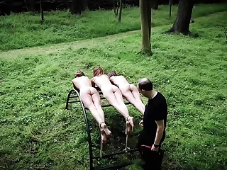 Three teen slaves punishment and humiliated relative to rough bdsm